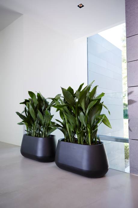 pure cone long wheels 75 black